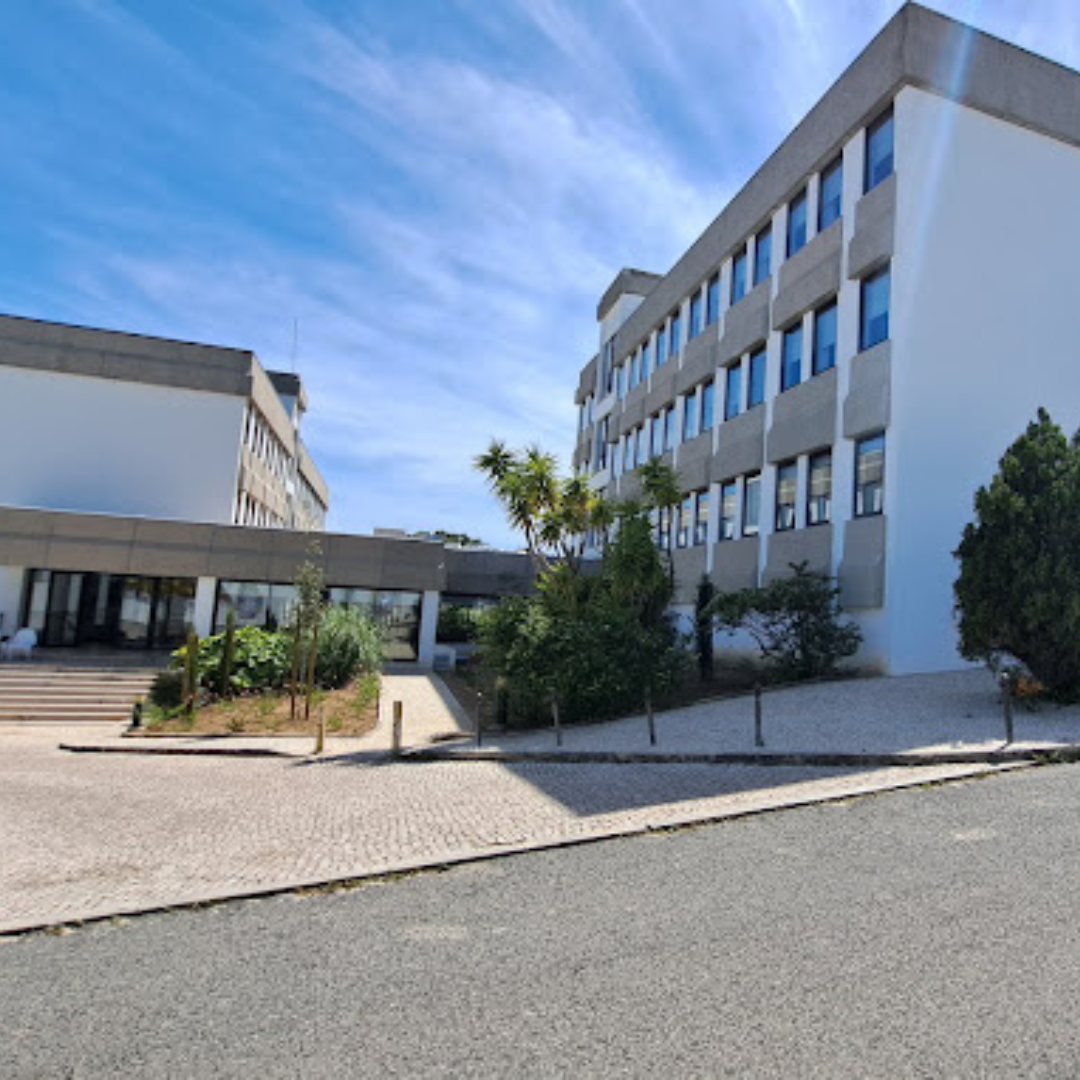 1ª Edição - 26 de Março 2025 - "O Estado Atual da Restauração em Portugal"